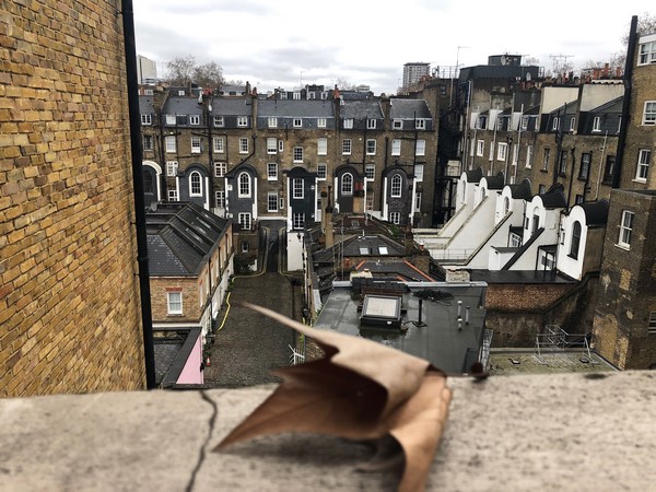 Paddington & St. John's Wood